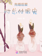 先婚后爱,时总他很宠在线阅读