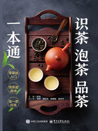 识茶 泡茶 品茶一本通在线阅读