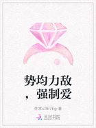 势均力敌,强制爱在线阅读