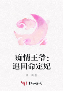 癡情王爺：追回命定妃