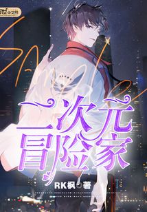 二次元冒險家
