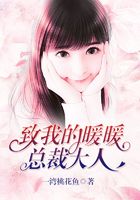 致我的暖暖总裁大人