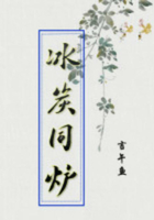 冰炭同爐在線閱讀