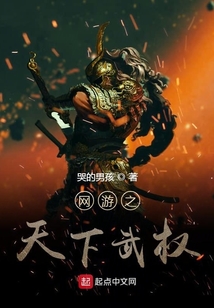 網游之天下武權