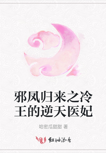 邪鳳歸來之冷王的逆天醫妃