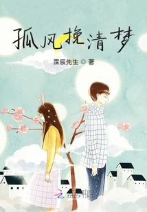 孤風挽清夢