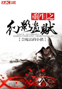 重生之幻影盜賊