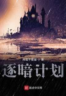 逐暗計劃