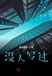 沒人寫過