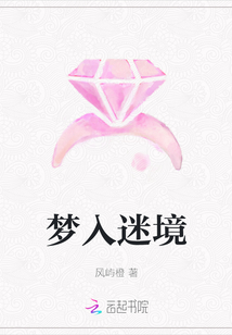 夢入迷境