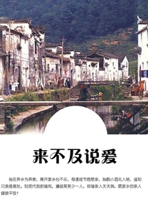 来不及说爱