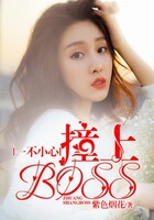 一不小心撞上BOSS在線閱讀