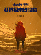 妹妹被行刑,我选择末日降临在线阅读