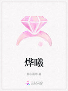 烨曦在线阅读