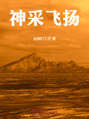 神采飞扬在线阅读