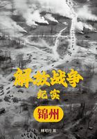 解放戰爭紀實：解放錦州在線閱讀