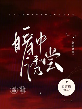 暗中诱尝在线阅读