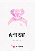 夜雪凝眸在線(xiàn)閱讀