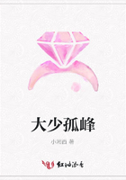 大少孤峰在線閱讀