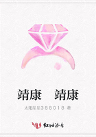 靖康 靖康在線閱讀