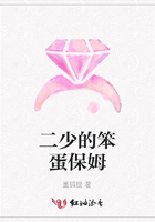 二少的笨蛋保姆在線閱讀