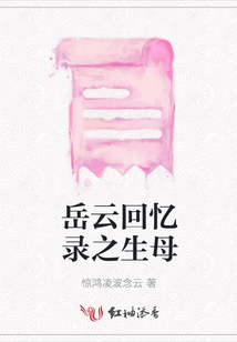 岳云回憶錄之生母