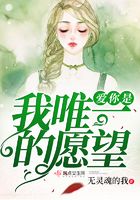 愛你是我唯一的愿望在線閱讀
