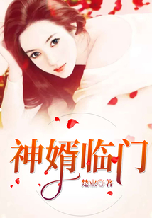 神婿临门