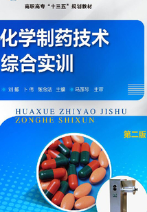 化學制藥技術綜合實訓(第二版)