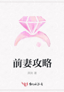 前妻攻略
