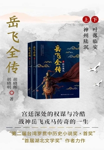 岳飛全傳（全集）