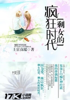 剩女的疯狂时代在线阅读