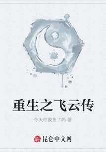 重生之飛云傳