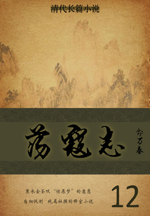 清代长篇小说:荡寇志(12)