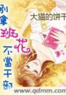 別拿班花不當(dāng)干部