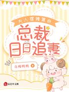 夫人摆摊算命,总裁日日追妻在线阅读