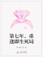 第七年，重逢即生死局在线阅读