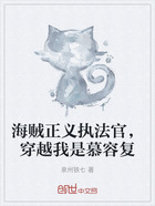 海賊正義執法官，穿越我是慕容復在線閱讀