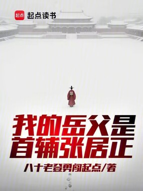 岳丈张居正在线阅读