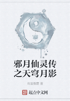 邪月仙灵传之天穹月影