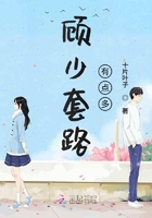 顧少套路有點多在線閱讀