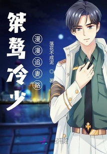 桀驁冷少漫漫追妻路