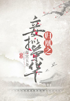 归凰之妾拟荣华在线阅读