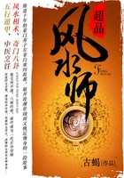 超品风水师