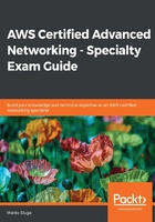 AWS Certified Advanced Networking：Specialty Exam Guide在线阅读