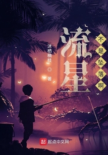 流星不是墜落啊