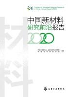 中国新材料研究前沿报告2020在线阅读