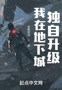 我在地下城獨自升級