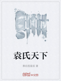 袁氏天下