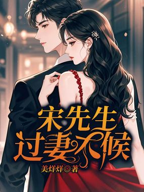 宋先生,过妻不候在线阅读